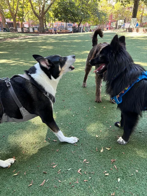 Thanks for checking in, I’d say he’s doing quite well! 3 months with my best friend. Time flies when you’re having fun!