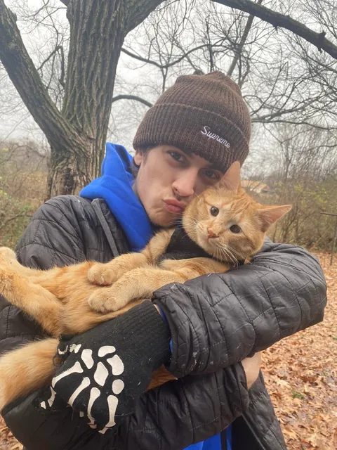 I’ve lost my best friend Link