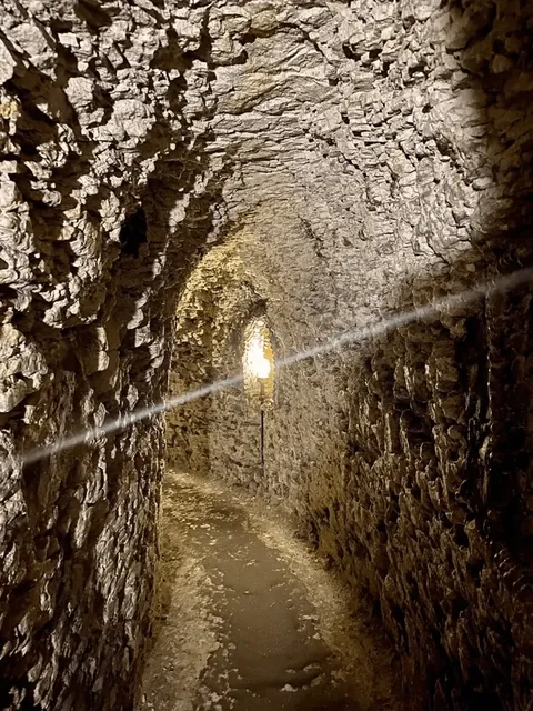 A man in 1835 was digging a duck pond and accidentally uncovered a 70-foot tunnel made of 2,000 sq ft of mosaic made from 4.6 million shells (mussels, cockles, whelks, limpets, oysters, scallops).