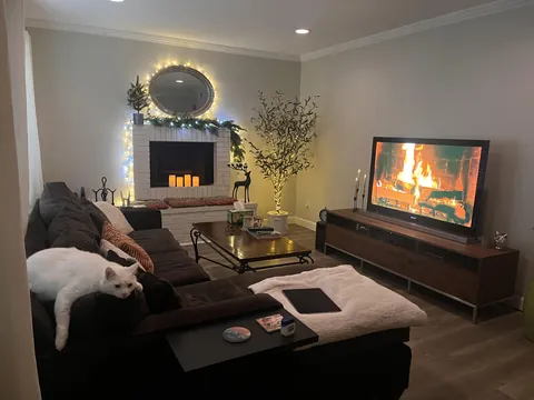 Lazy day after Christmas