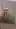 [gif] perfect place to put your baby juice