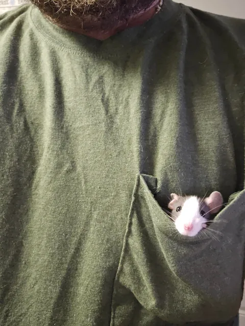 One of the newest members of the mischief and already brave