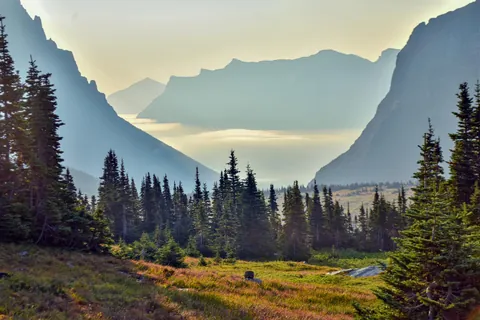 Above the Clouds at Logan Pass, Glacier National Park [4000X6000] [OC]