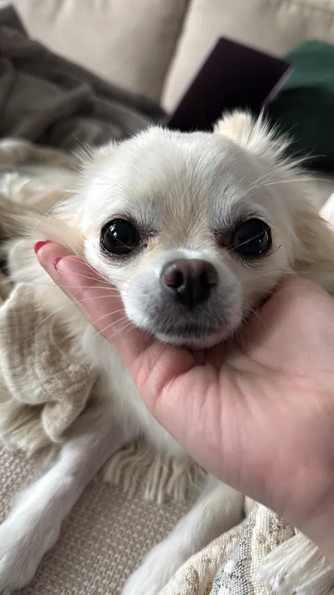 she’ll stare into your eyes for hours if you let her