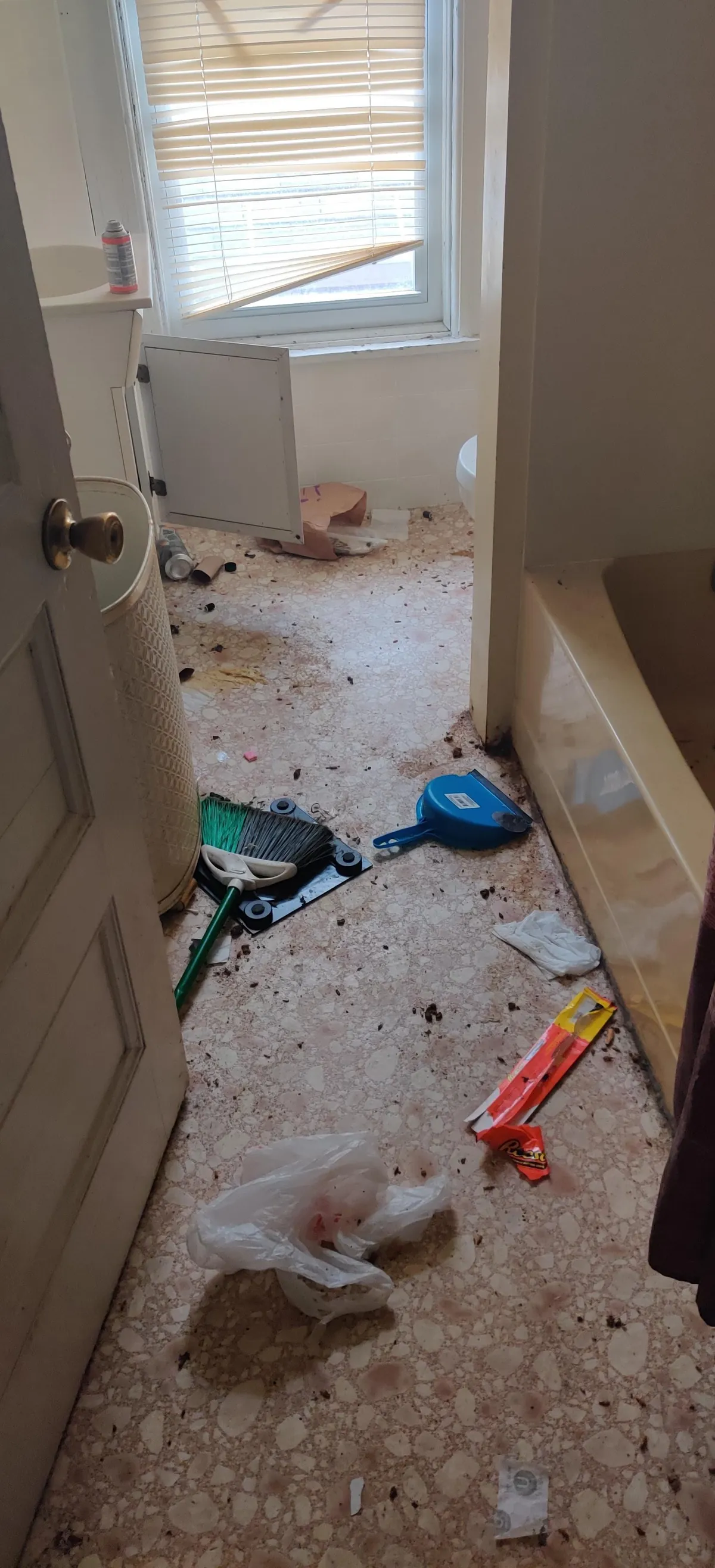 Spent a year completing renovating an apartment.