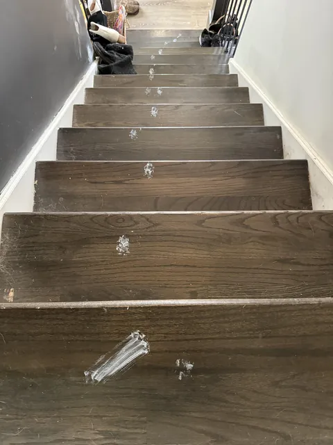 Cat jumped into the paint tray…