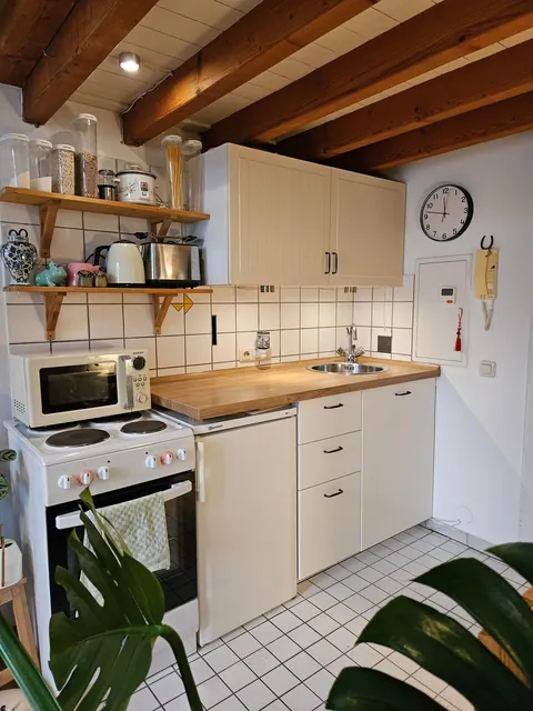 18sqm (194sqft) studio flat with built-in loft bed