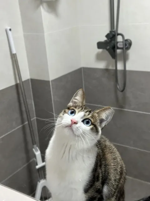 She seems to know that she is very beautiful in the mirror