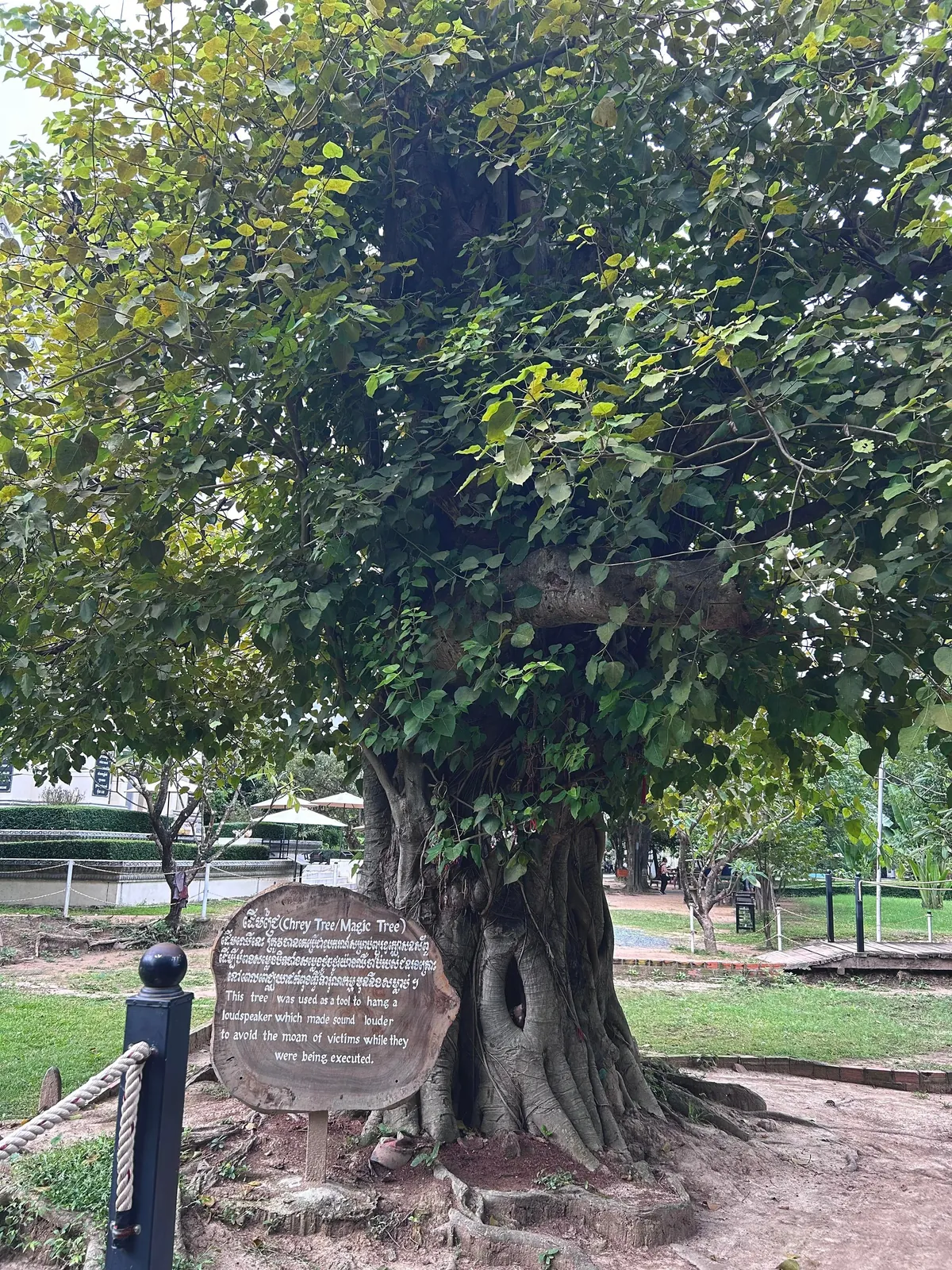 2 weeks in Cambodia 🇰🇭