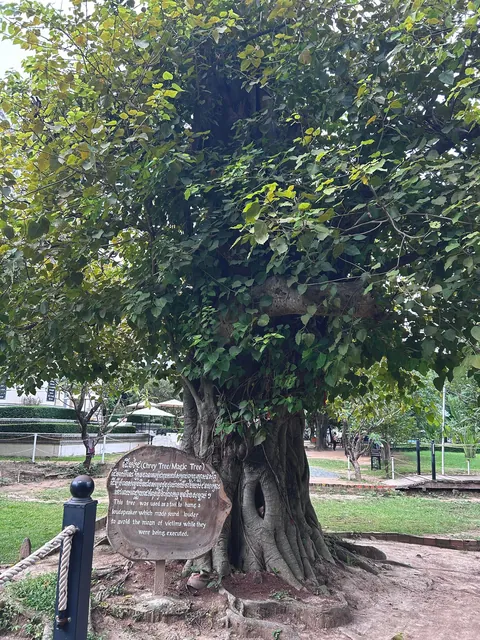 2 weeks in Cambodia 🇰🇭