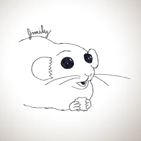 The many faces of Jimily (not my rat, I'm just fangirling because who can resist those boba eyes)