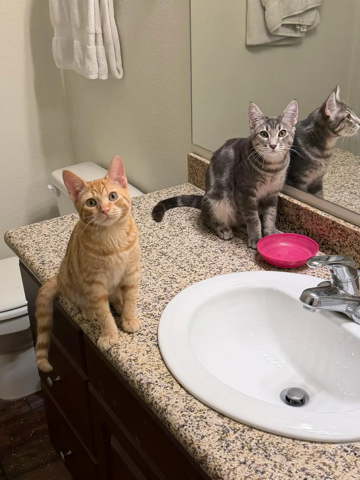 they always have to help me brush my teeth and wash my face at night