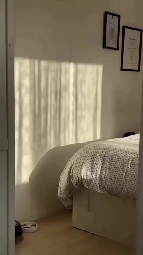 Shadow Dance Purr-former 👥👯‍♂️