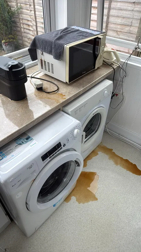 My coffee machine decided to brew a coffee on its own accord