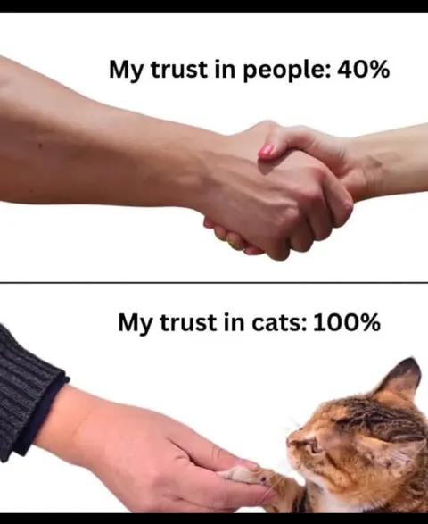 100%🐾