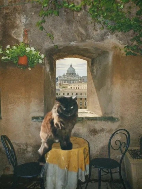 I made a calendar for my gf with edited photos of our void baby and I just needed to share them lol!