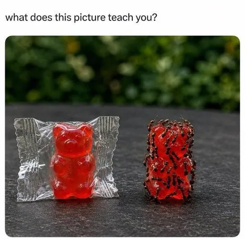 What indeed?