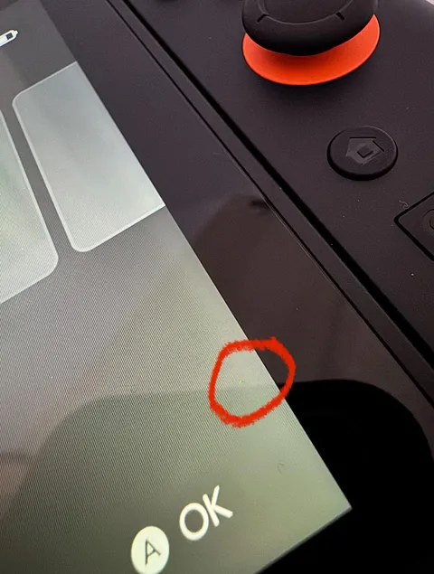 Dead pixel on new switch 2