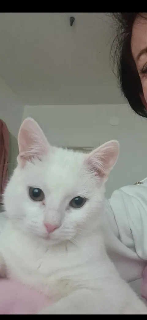 When you are on holidays and ur mom sends a selfie with your son