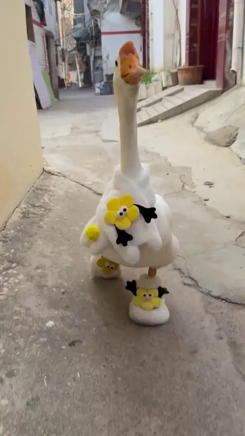 Just A Goose Walking Down The Street..