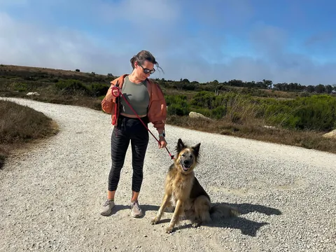 Celebrating two years with Snacks, our big goofy rescue dog