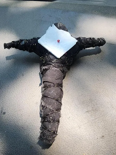 Found this on my front lawn