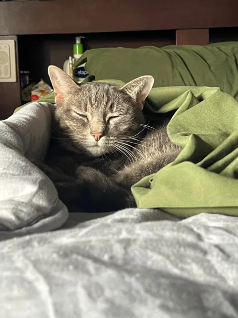Everyday I wonder how I’m her 5th owner