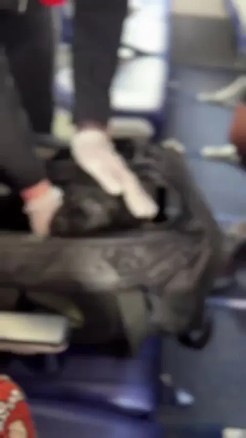 Lab Puppy Meets Her Flight Crew on the Journey to Her Forever Home