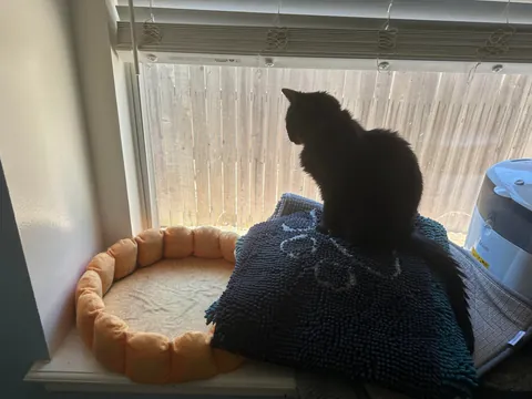 Heaven just got a little more BADASS!!