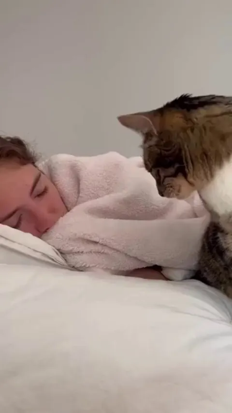 Purrfect Alarm Clock