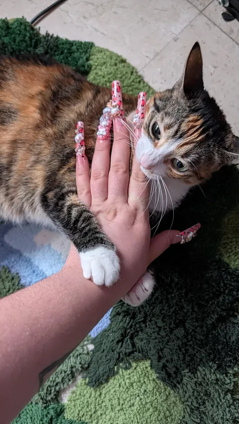 my dad passed so I have a cat now