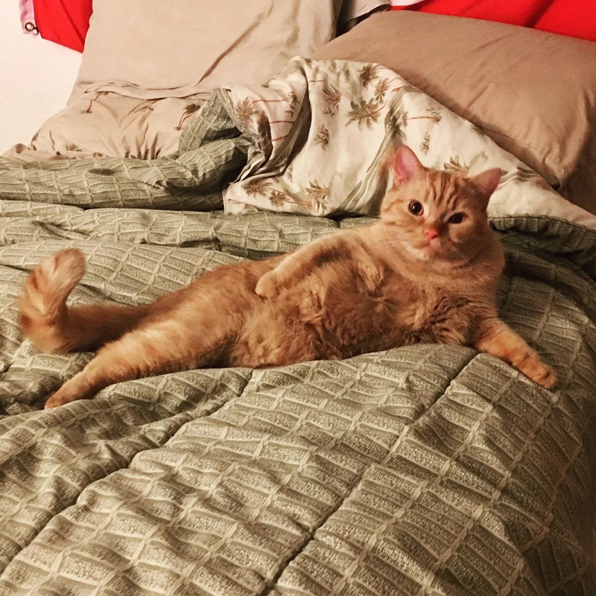 Paint me like one of your French dogs…