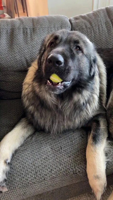 And that’s when I realized tennis balls were too small.