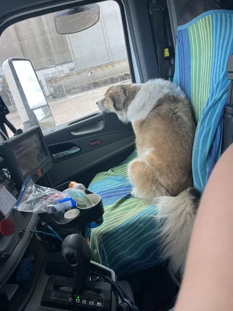 UGH!! are we done yet?? (waiting our turn to load up)