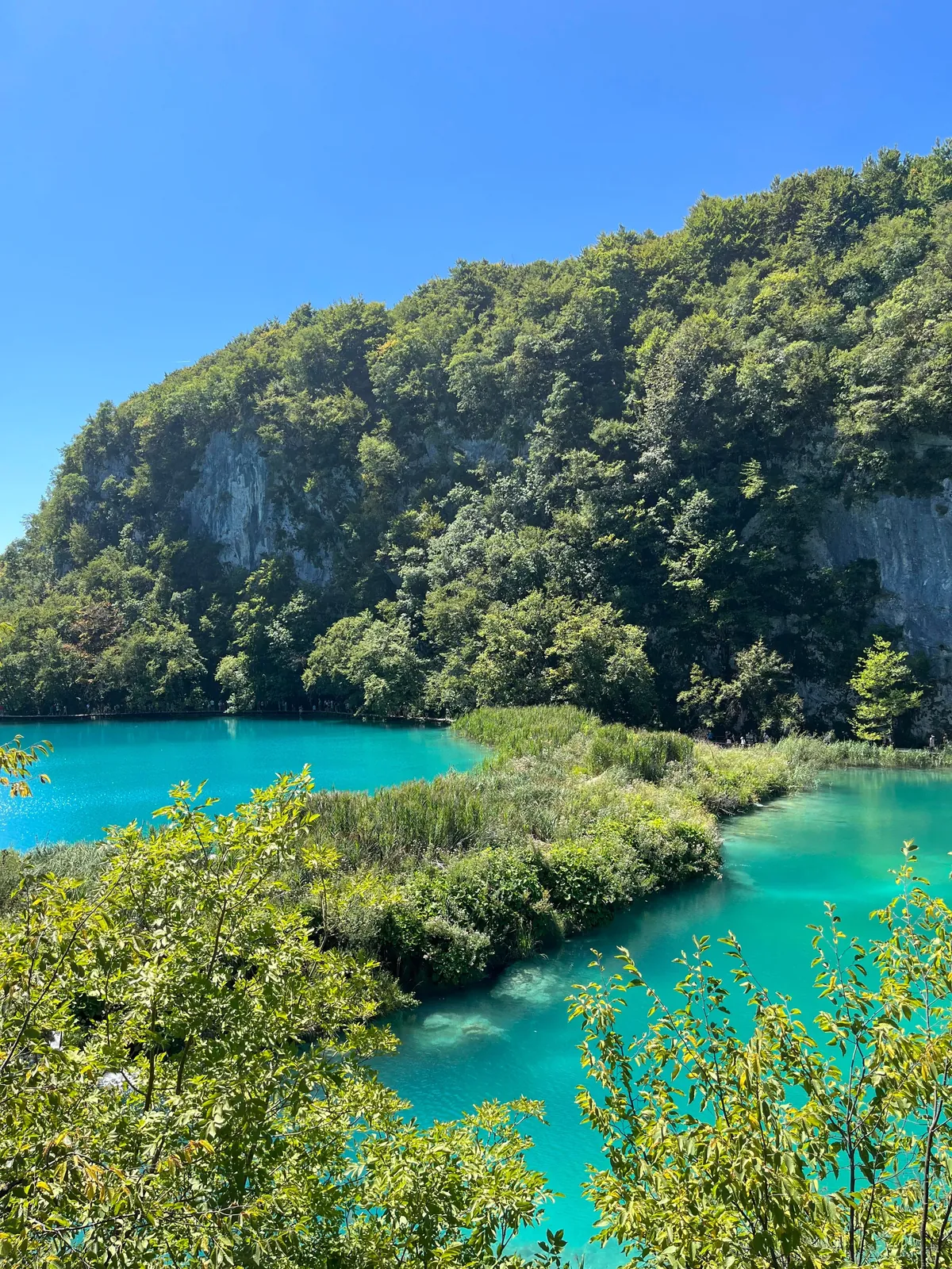 The most beautiful place for me! A guide to📍Plitvice Lakes National Park, Croatia 🇭🇷