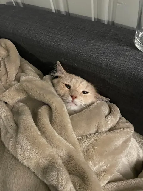 Gahwd I love him 💕