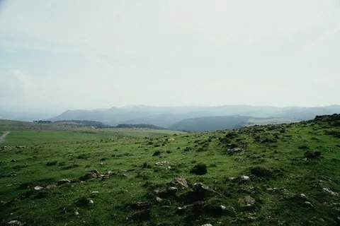 📍somewhere in Galicia