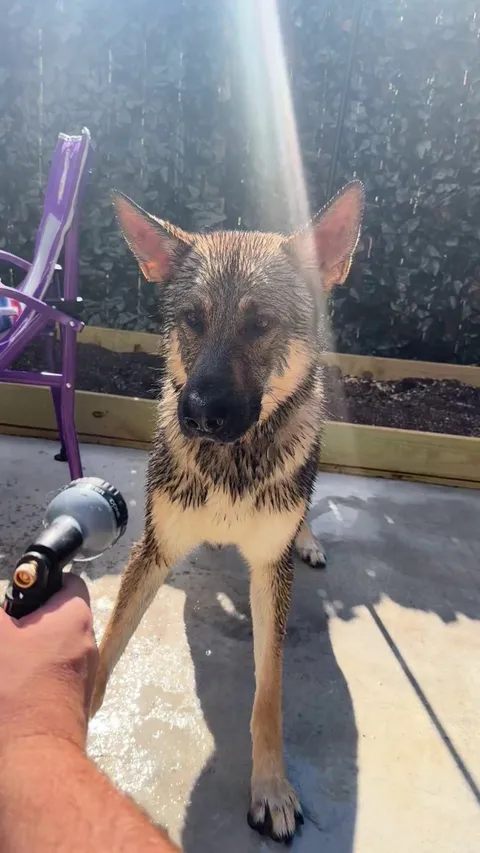 …BARGLEGARHLEBARKLE…