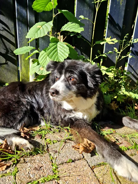 My best friend tessa turned 16 :)