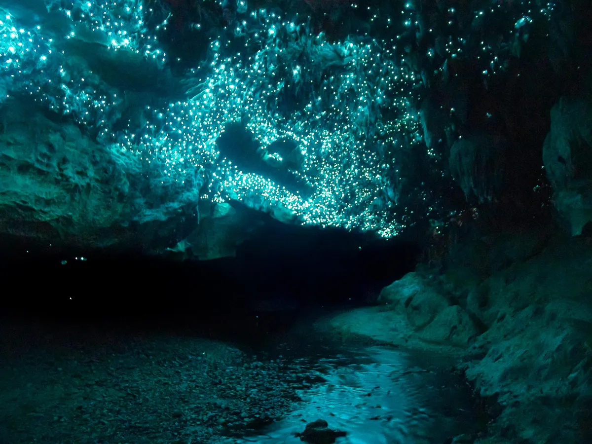 A cave in New Zealand lit just by Glow Worms [OC] [2500 x 1875]