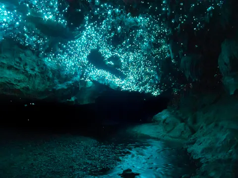 A cave in New Zealand lit just by Glow Worms [OC] [2500 x 1875]