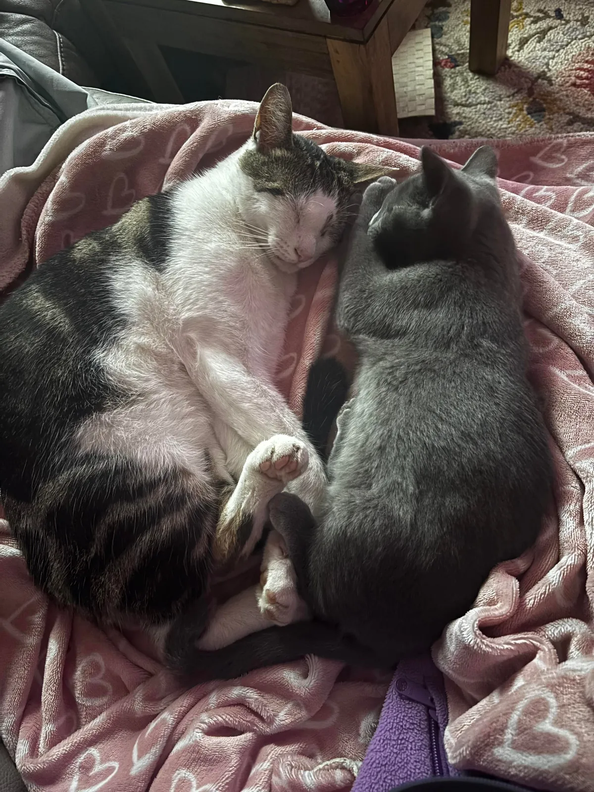 My beautiful baby died today