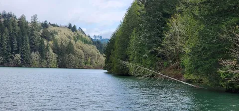 Early bird gets the worm