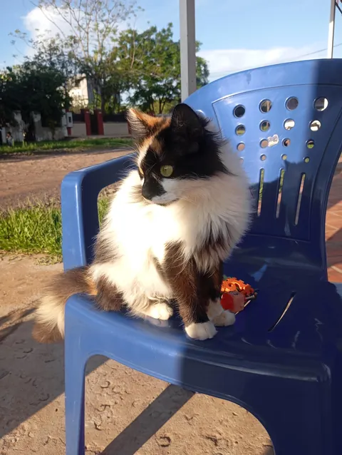 I went to visit a friend and met this beautiful princess...