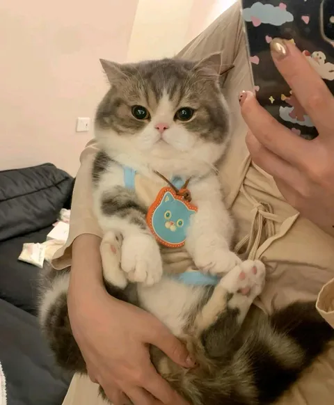 One year anniversary of meeting him!