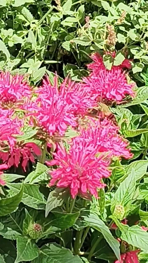 What in the world is this?