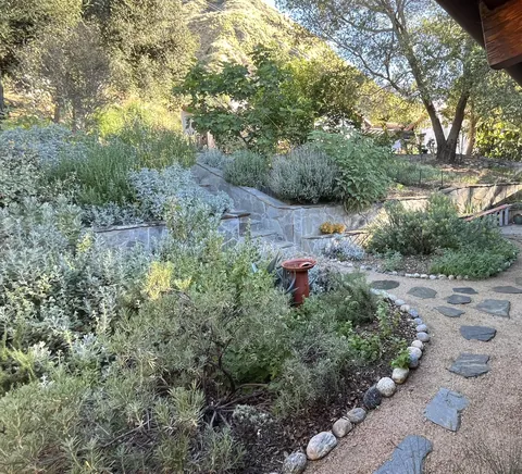 A year after the Eaton Fire passed through our back yard.