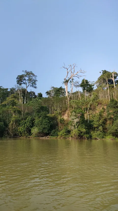 Central African Republic (CAR)