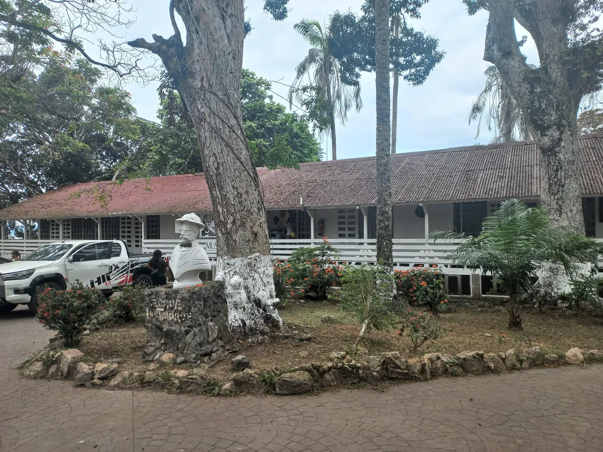 Pics from my two trips to Gabon in central Africa (Aug 2024&amp;2025)