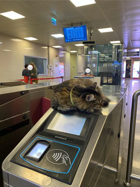 subway security asleep on duty